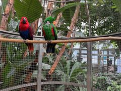 -大连森林动物园