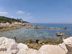 -养马岛旅游度假区