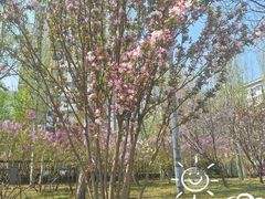 -田村(地铁站)