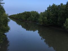 -崖口红树林海鲜餐厅
