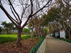 景点-白鹭洲公园