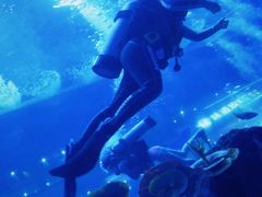 -成都浩海立方海洋公园