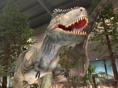 -湖南省地质博物馆