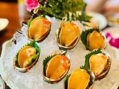 鲍鱼刺身-旨料亭日本料理(四川北路店)