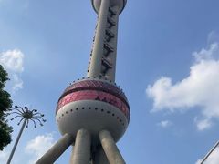 -陆家嘴中心绿地