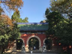 -灵谷景区