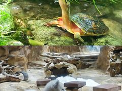 -香港海洋公园
