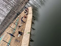 -马家湾湿地公园
