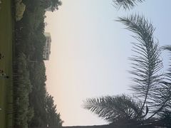 -东风公园