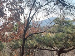 -北京十三陵国家森林公园蟒山景区