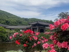-龙寺生态园