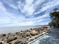 -吴淞炮台湾湿地森林公园烧烤区