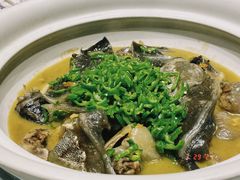 -华膳楼·安徽地标美食·中华餐饮名店(文化公园店)