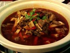 筋头巴脑一锅香-筋头巴脑牛一锅(朝阳路总店)