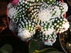 -三旗百汇商品城