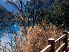 -九寨沟-树正沟