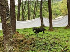 -硗碛藏寨·神木垒景区