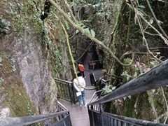-梦幻奥陶纪景区