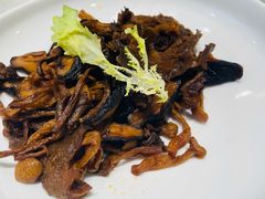 红油杂菌-陶然居·重庆菜(南滨路店)