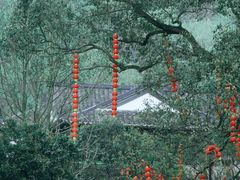 -中国茶叶博物馆(双峰馆区)