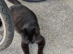 -山东大学(威海校区)