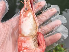 -鸡脚旮旯平江路店