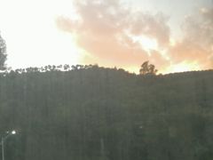 -长虫山生态公园风景林