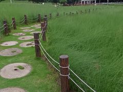 -红花山公园