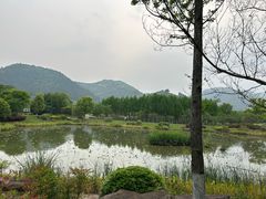 -径山花海