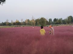 -汉长安城未央宫国家考古遗址公园