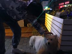 -小城家宴