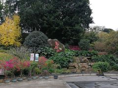 -乌山风景区