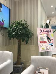 -银座Calla日式美容沙龙
