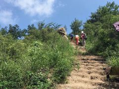 -大岭沟猕猴桃谷风景区