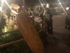 -迪士尼火鸡腿