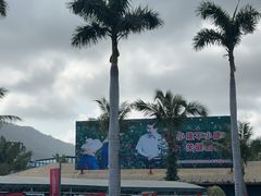 -亚龙湾国际玫瑰谷