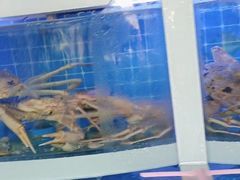 -家家悦生活港自助餐厅海之恋(W37店)
