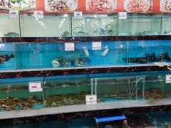 水产区-源海渔村·现捞海鲜(大角湾店)