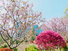 -和平公园