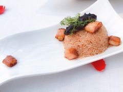 -梧桐