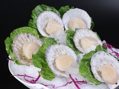 扇贝-舌尖记忆重庆火锅(悉尼店)
