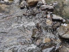 -白水寺森林公园
