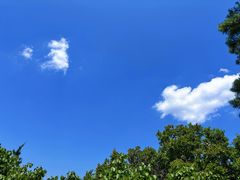 -帽儿山国家森林公园