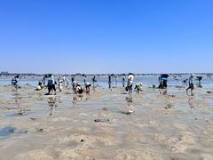 -北海金海湾红树林生态旅游区