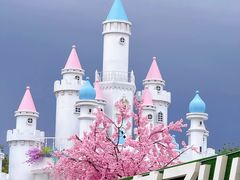 -莫子山公园