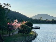 -风云岭森林公园