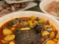 -月圆霖特色农家乐
