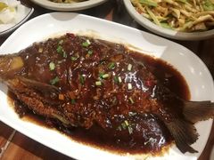 烧汁武昌鱼-霄汉牛三鲜湖北砂锅菜(万松园2店)