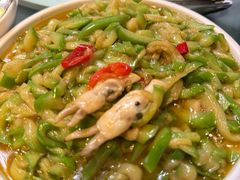 青茄子烧蛏子-金龙·打边炉(南京西路店)