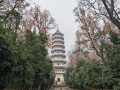 -灵谷景区